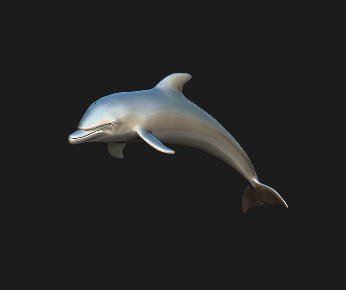 Dolphin 3D print model_1