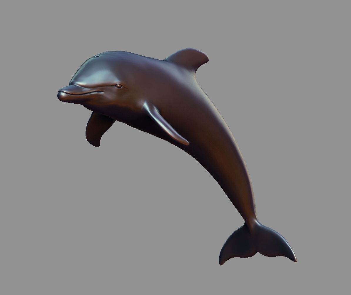 Dolphin 3D print model_5
