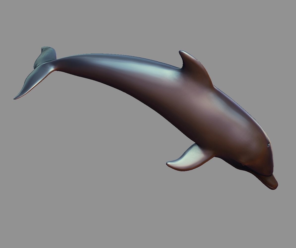 Dolphin 3D print model_6