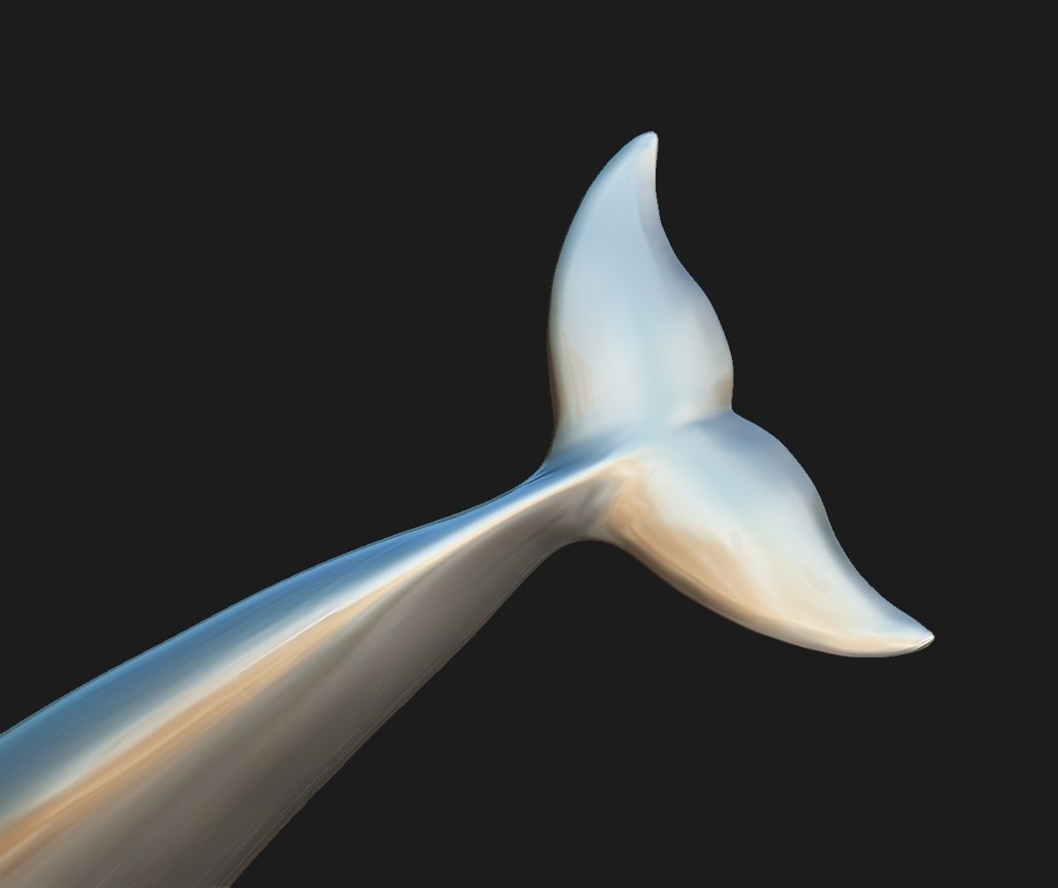 Dolphin 3D print model_4