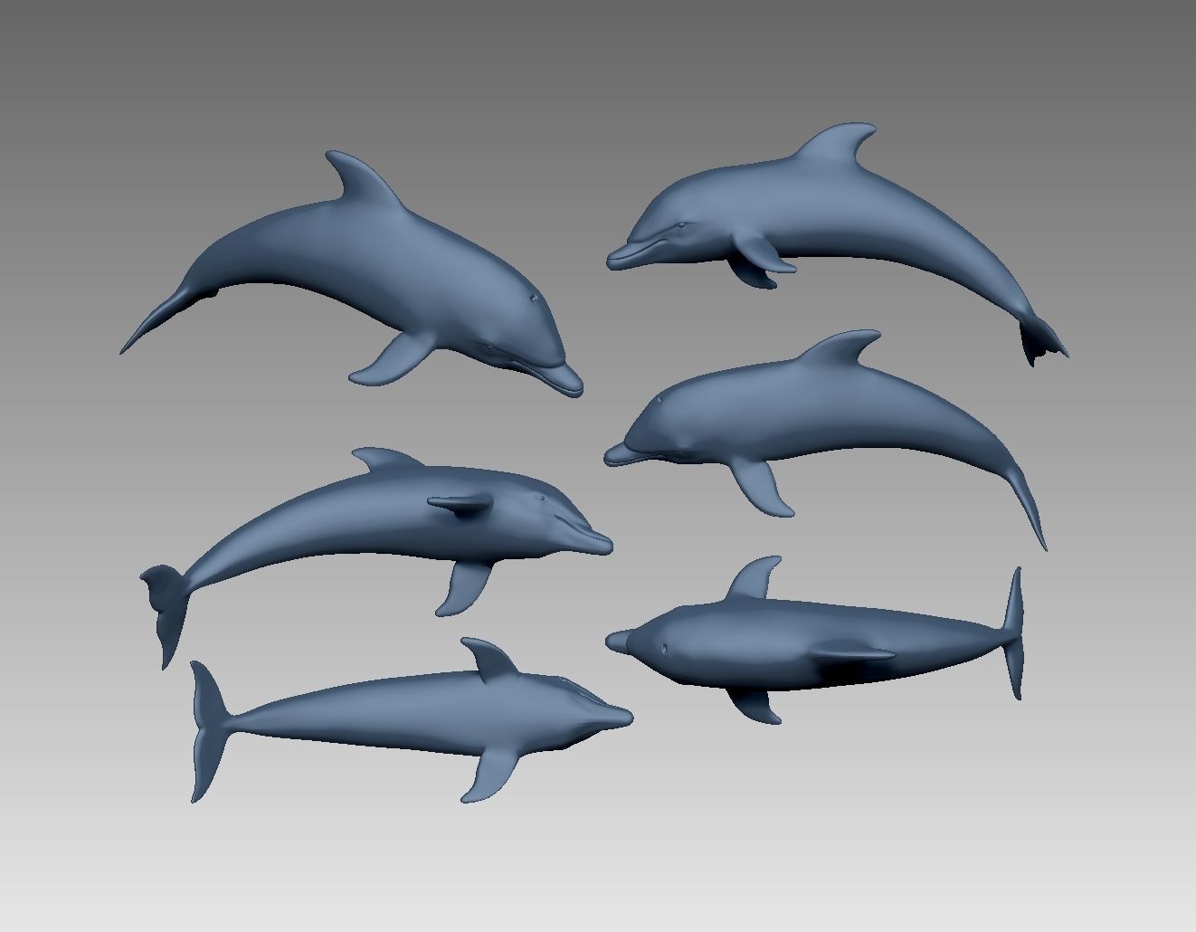 Dolphin 3D print model_11