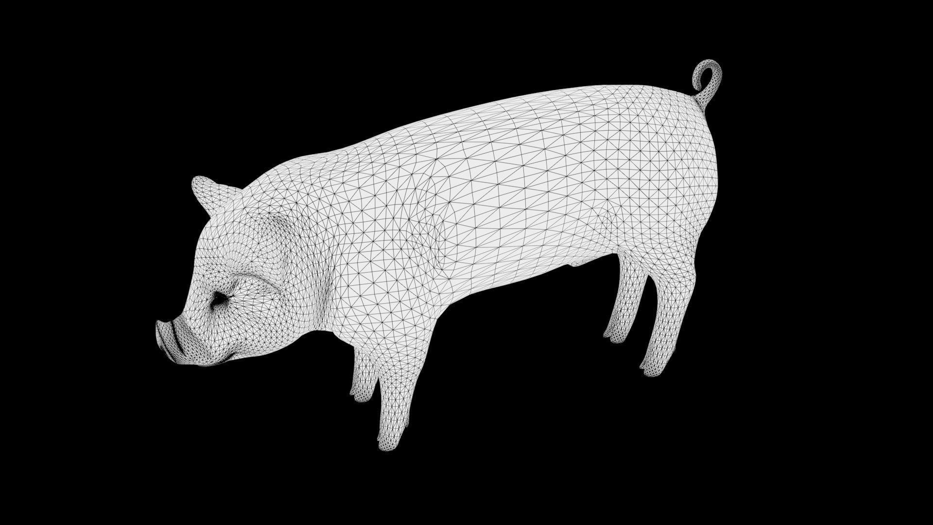 Pig red Low-poly 3D model_8
