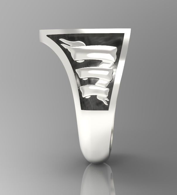 Alphabet Latin Signet Z 3D print model_11