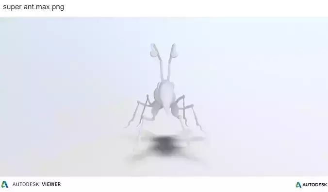 Ant Model insect