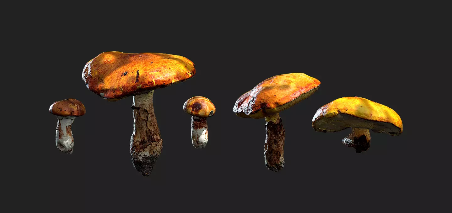 Mushrooms group of Low-poly 3D model_0