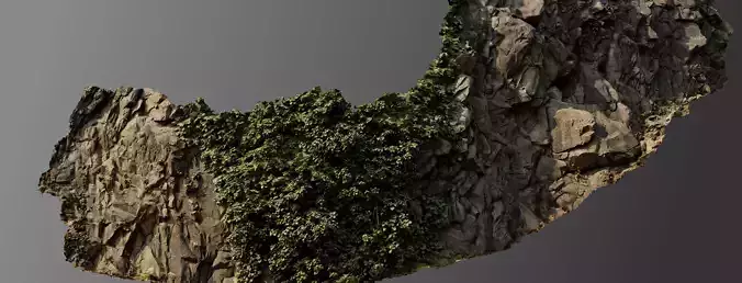 Cliff face climbed by ivy 3D model
