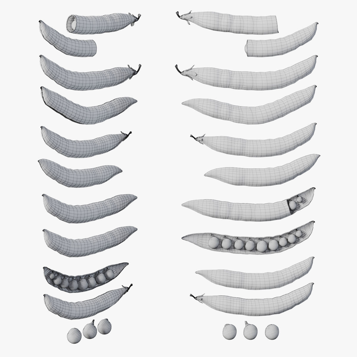 Plate of peas  3D model_9