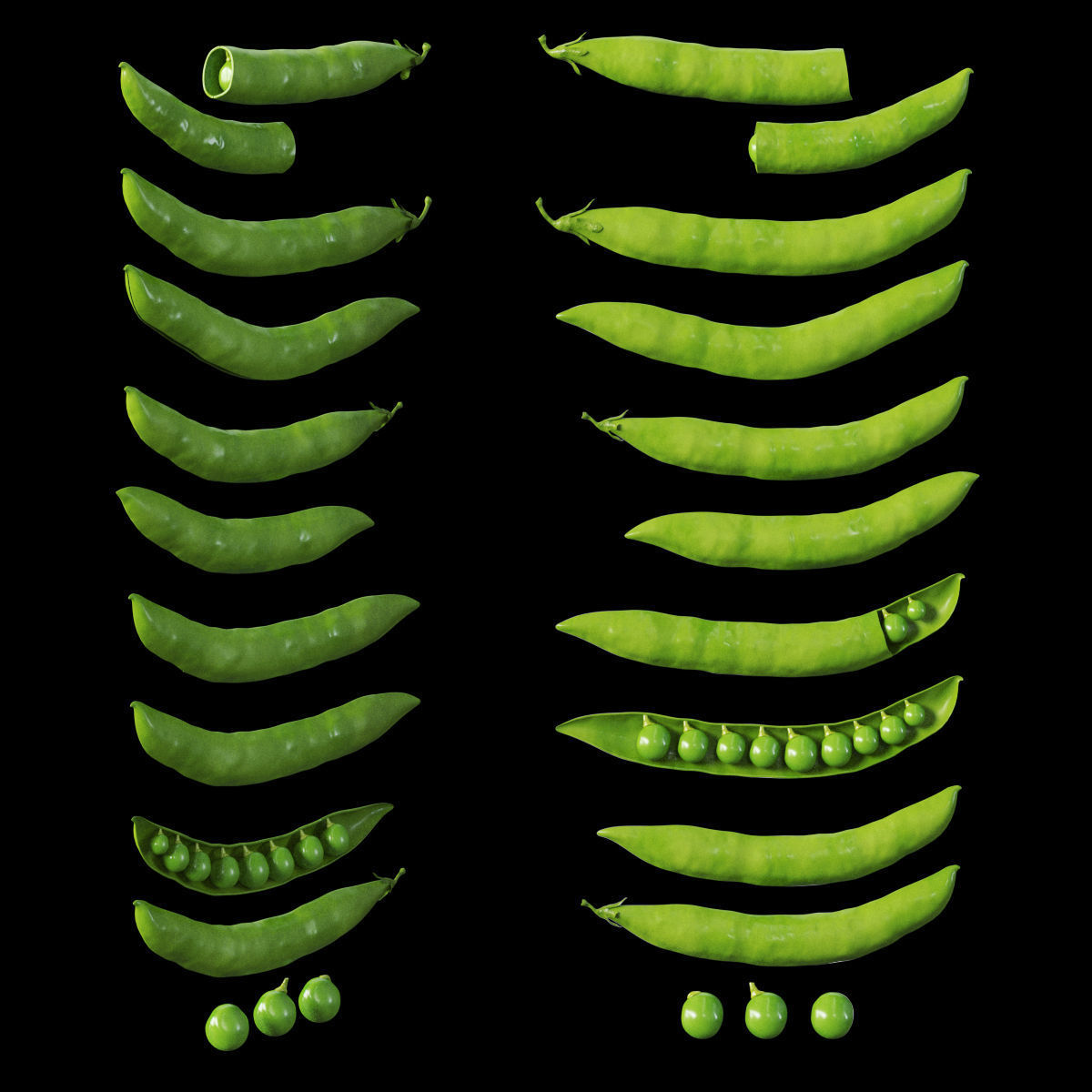 Plate of peas  3D model_6