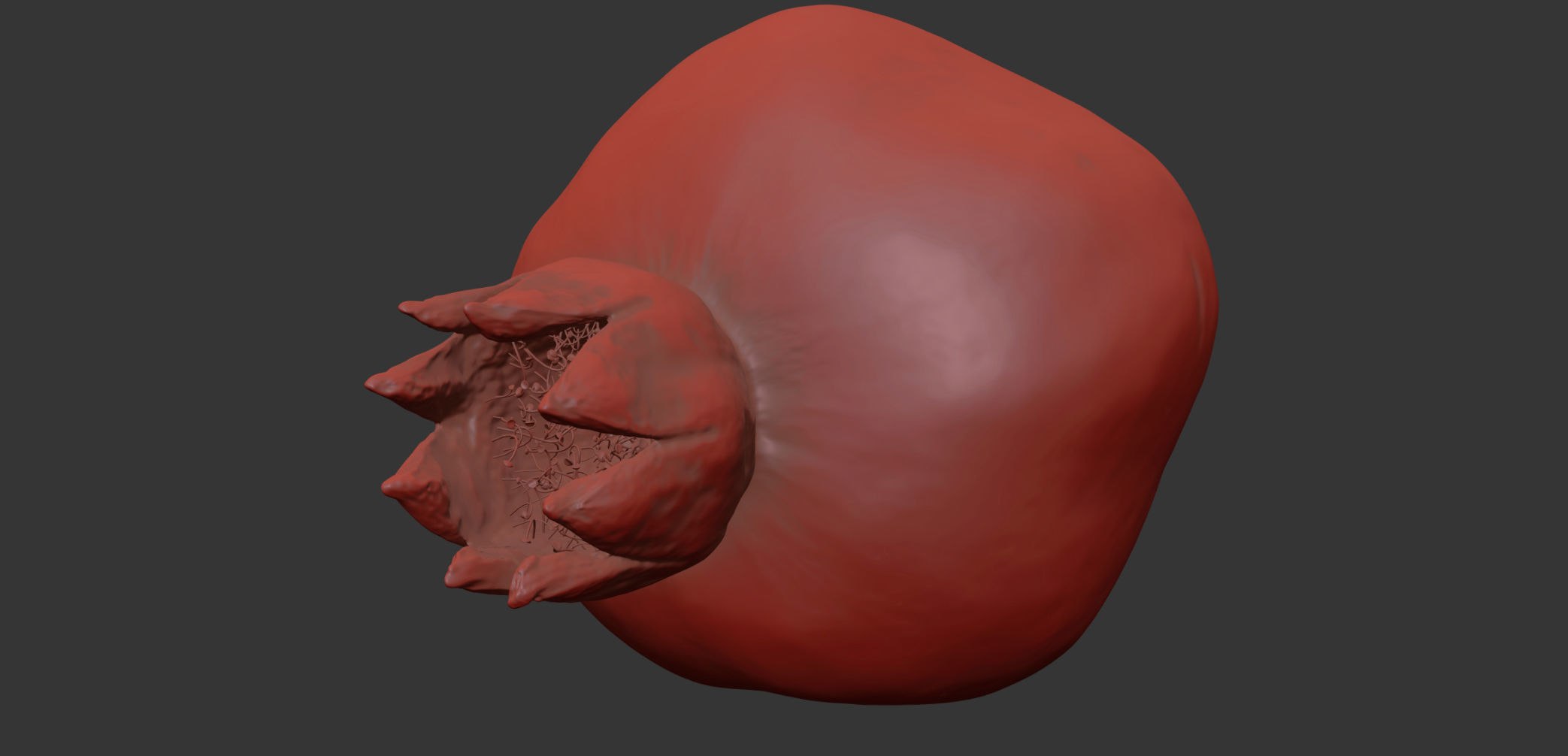 Pomegranate 3D model_10