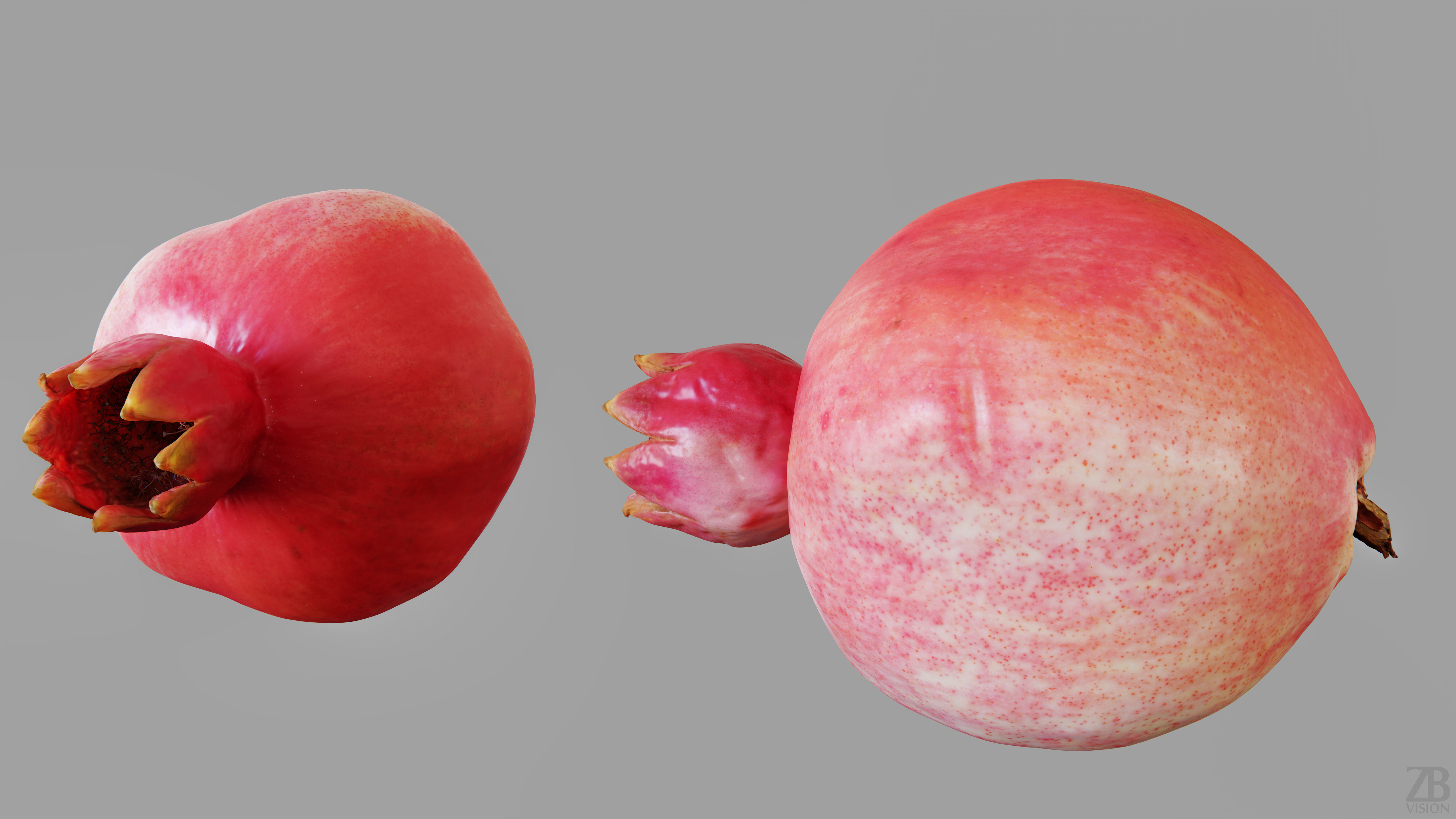 Pomegranate 3D model_12