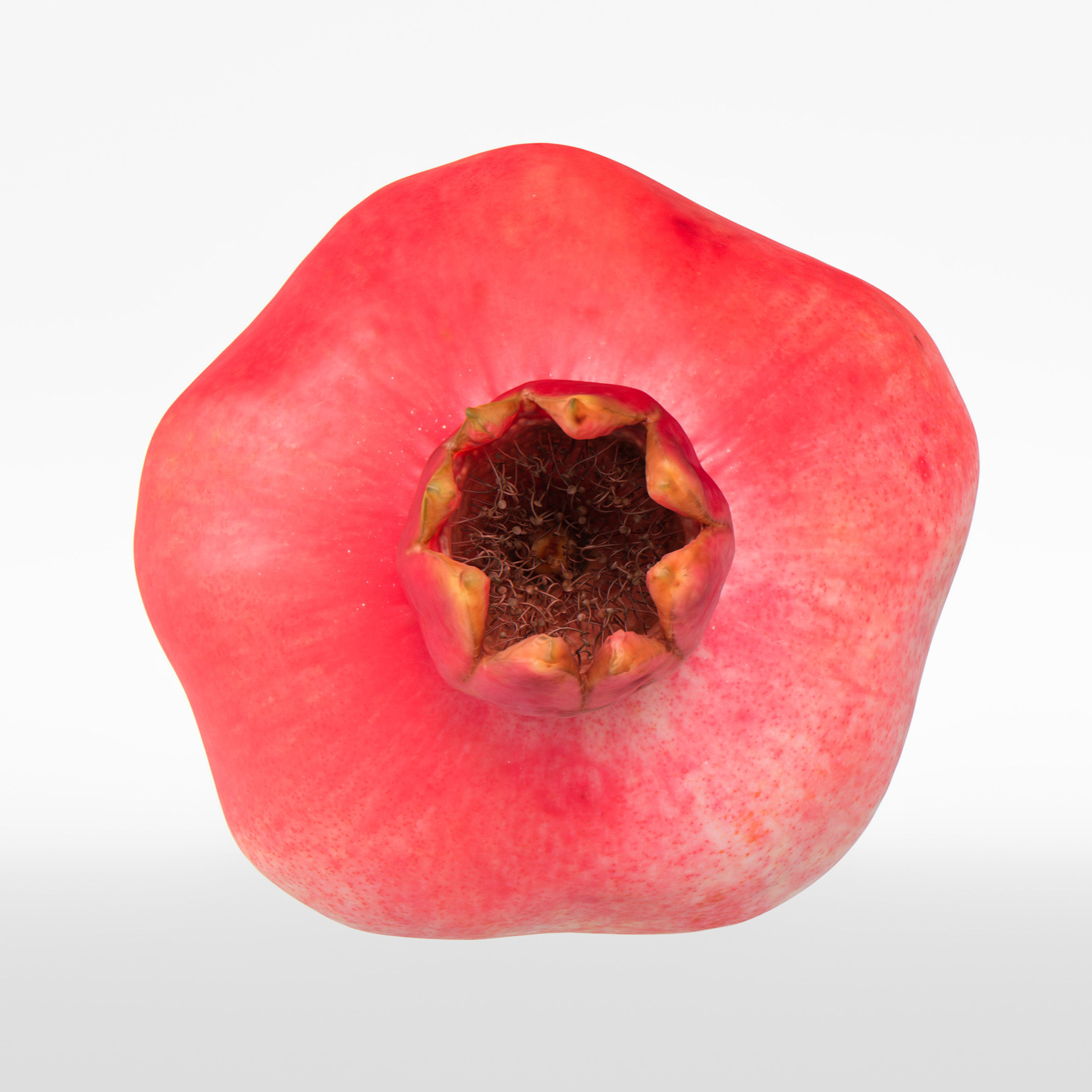 Pomegranate 3D model_6