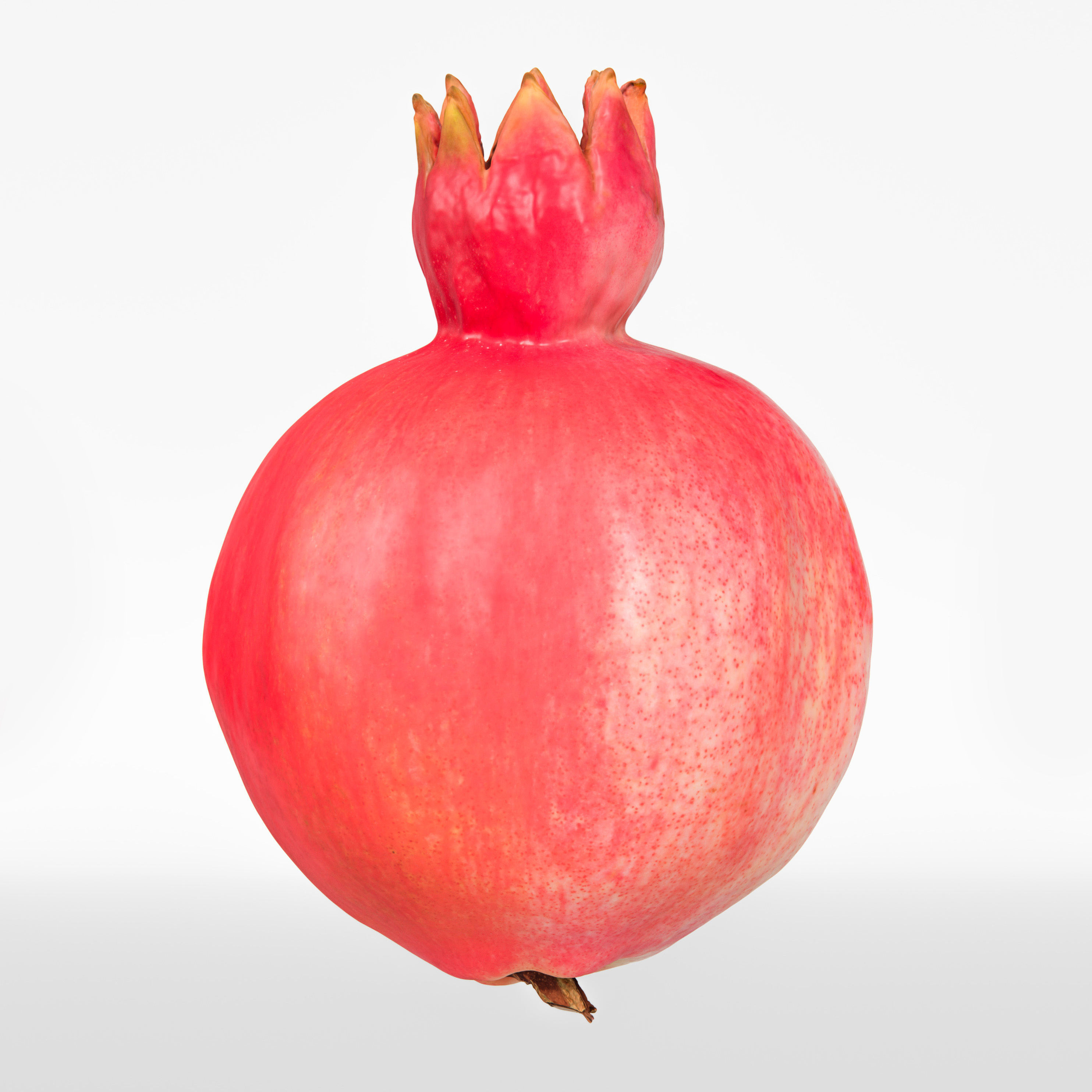 Pomegranate 3D model_5