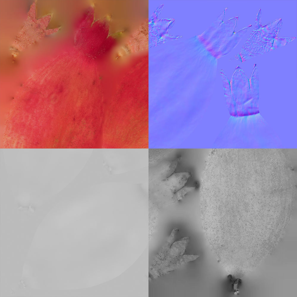 Pomegranate 3D model_11