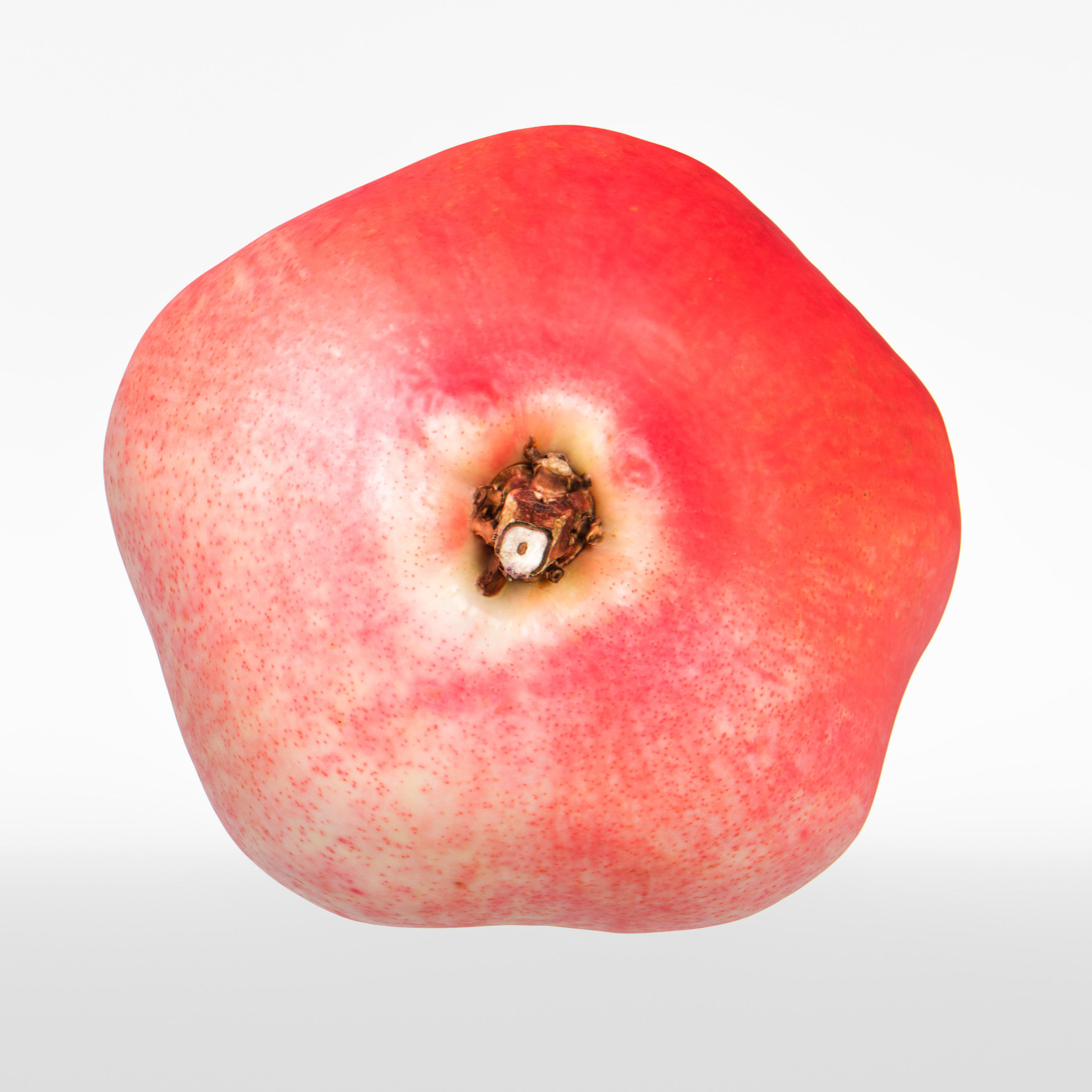 Pomegranate 3D model_7