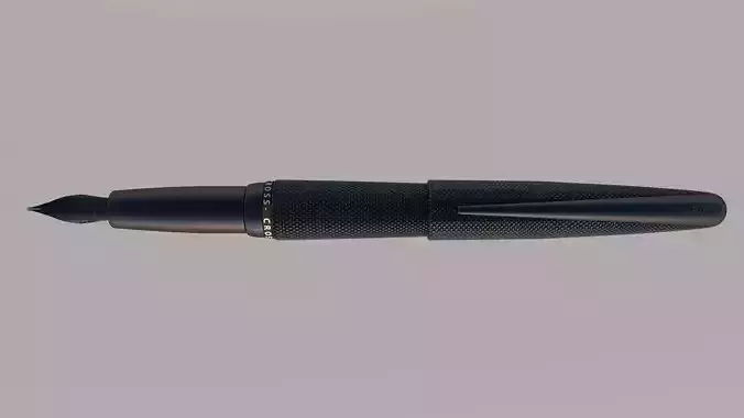 Fountain Pen
