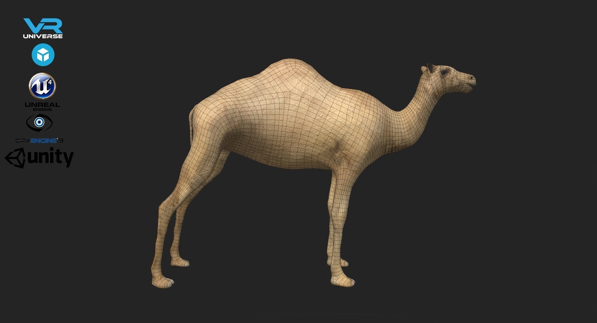 Camel Low-poly 3D model_1
