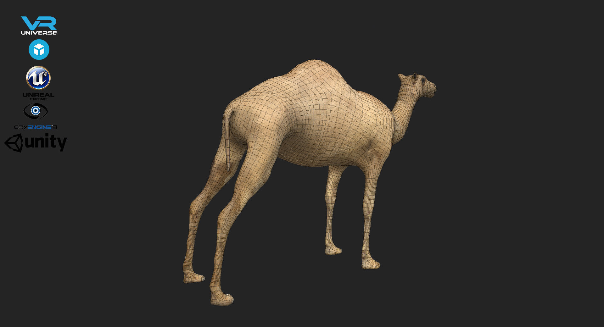 Camel Low-poly 3D model_3