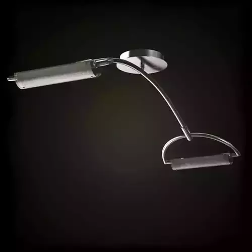 Modern Ceiling Lamp