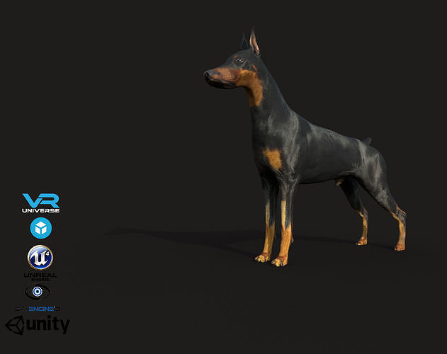 Dobermann Dog Low-poly 3D model