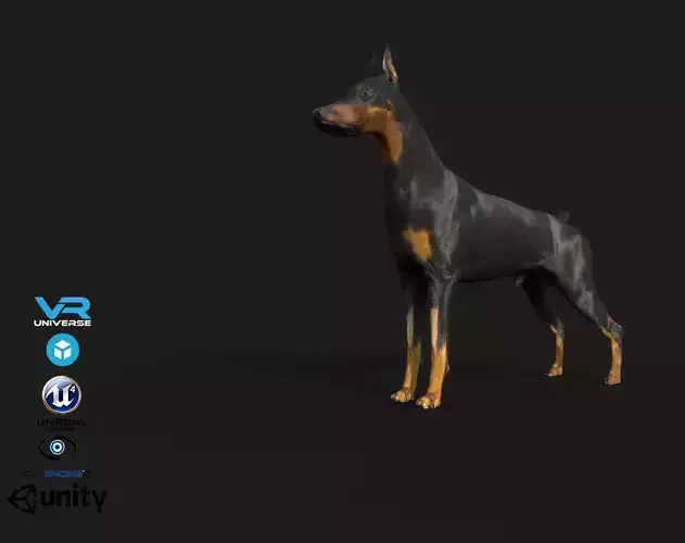 Dobermann Dog Low-poly 3D model
