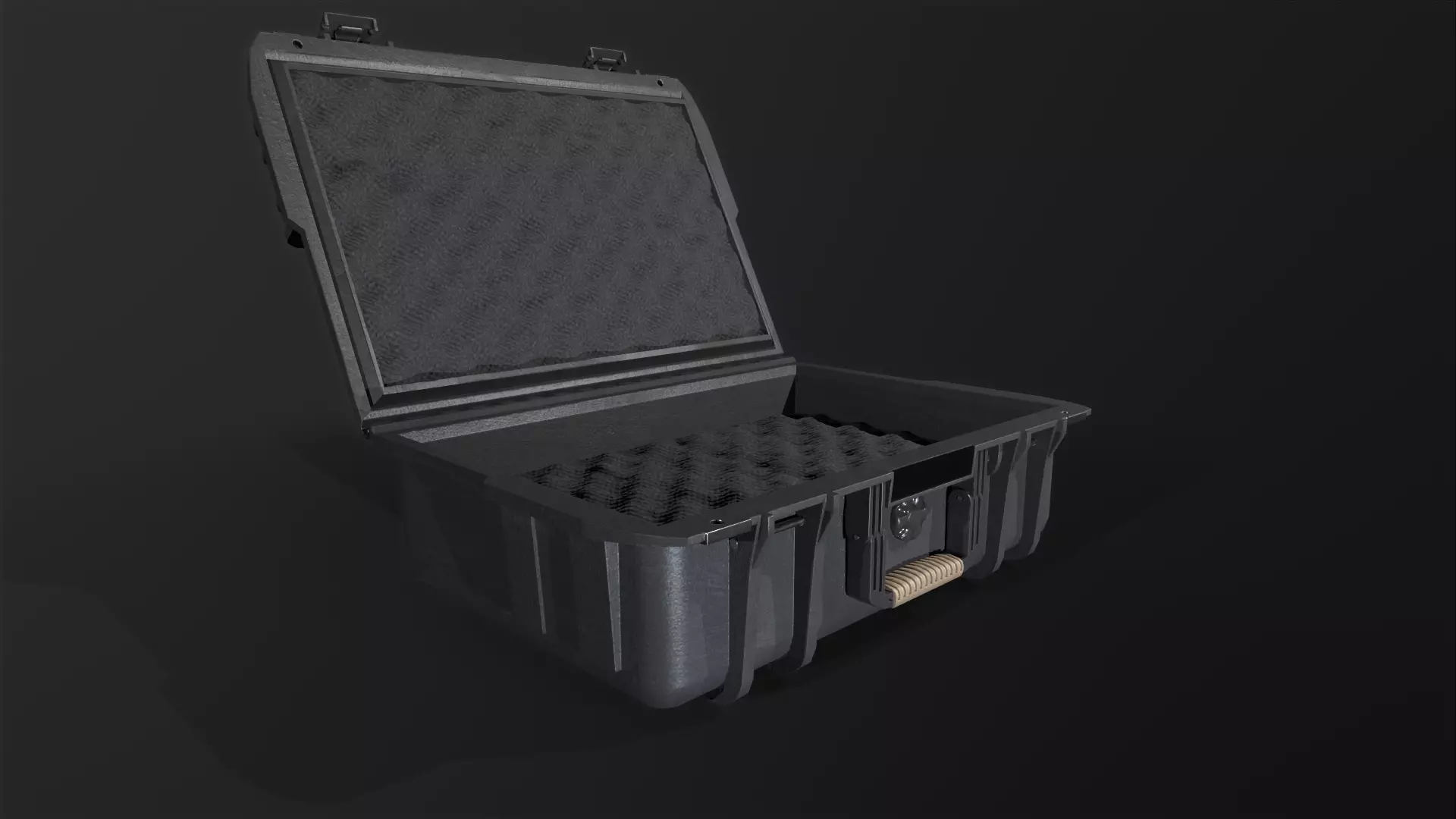 Protected Case Low-poly 3D model_0