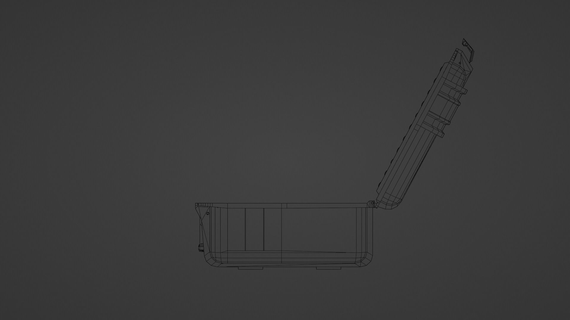 Protected Case Low-poly 3D model_7