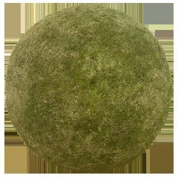 grass moss ball Low-poly 3D model_1