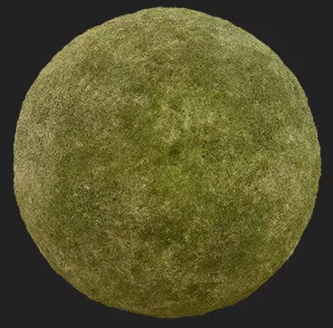 grass moss ball Low-poly 3D model_0