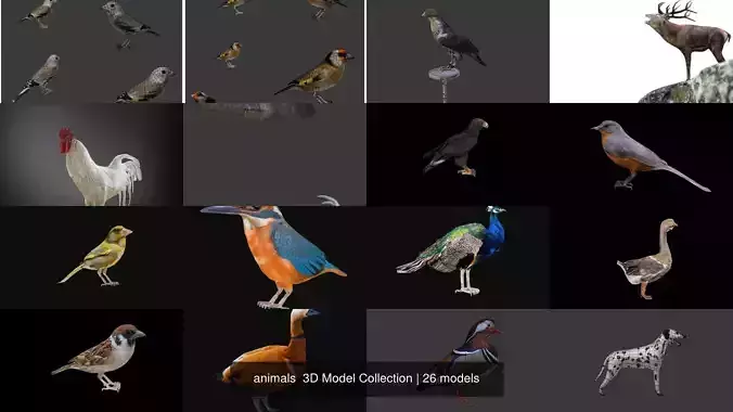 animals 3D Model Collection sparrow 
