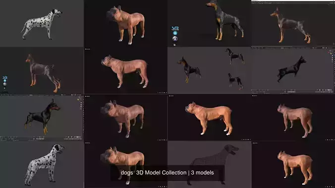 dogs 3D Model Collection dog 