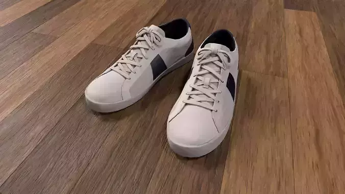 Trainer Shoes Low-poly 3D model