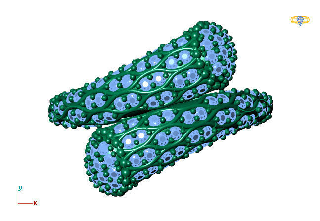 Two Head Women Ring 3DM Womens Ring 3d models 3D print model 3D print model_2