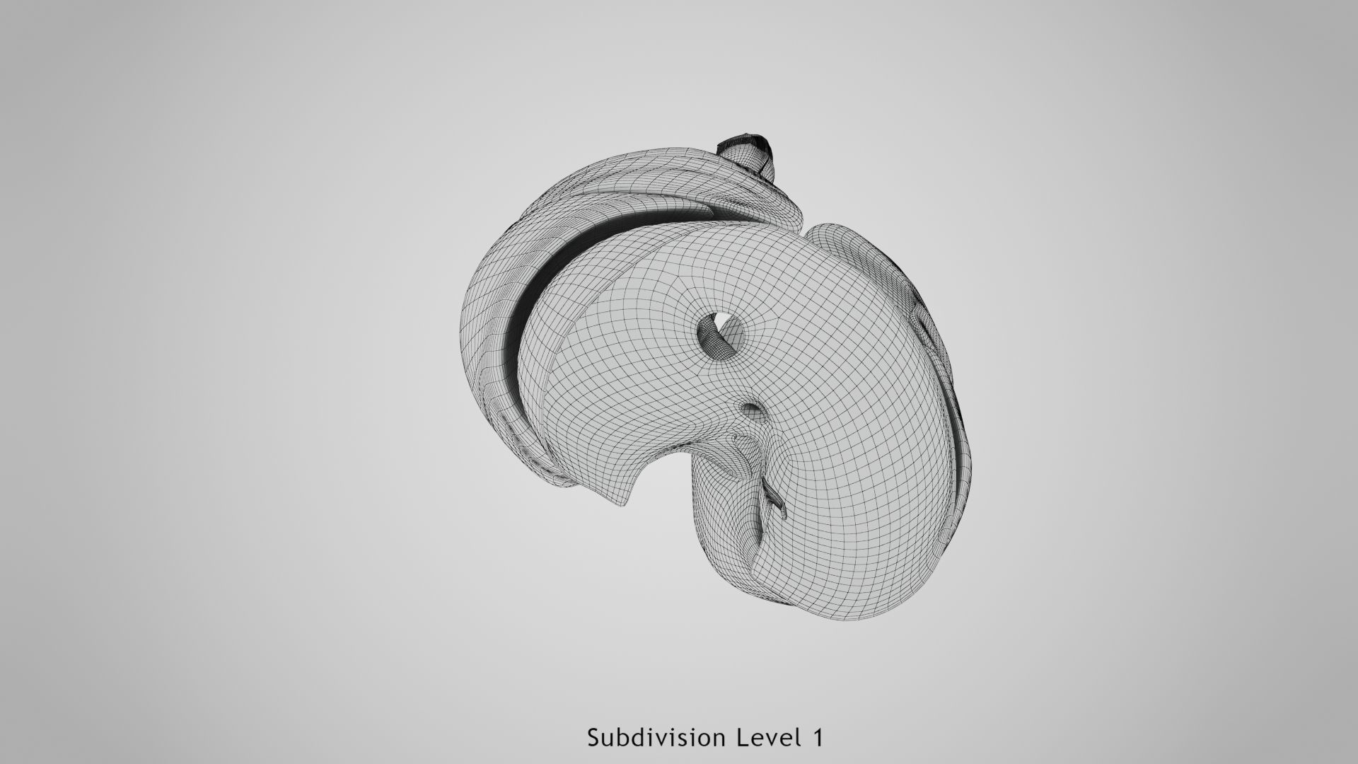 Human Lungs with Diaphragm Anatomy 3D model_23