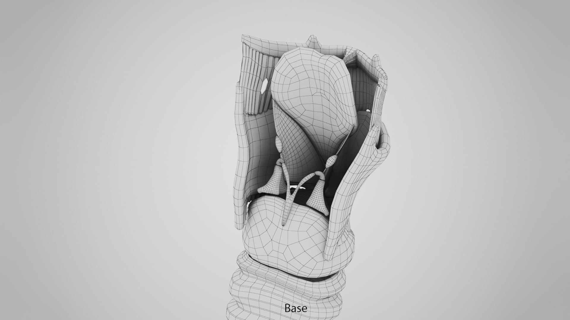 Human Lungs with Diaphragm Anatomy 3D model_29