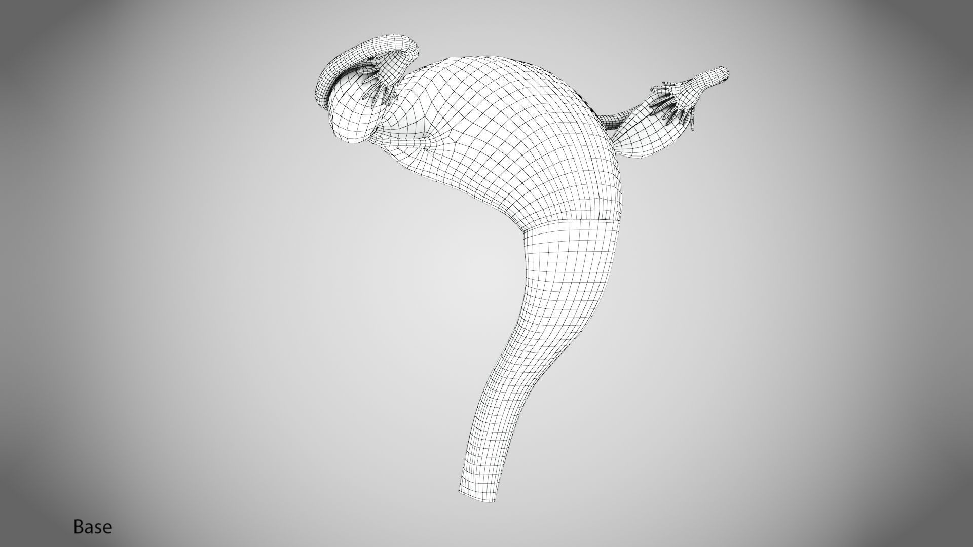 Uterus with Anatomic-Cut 3D model_17
