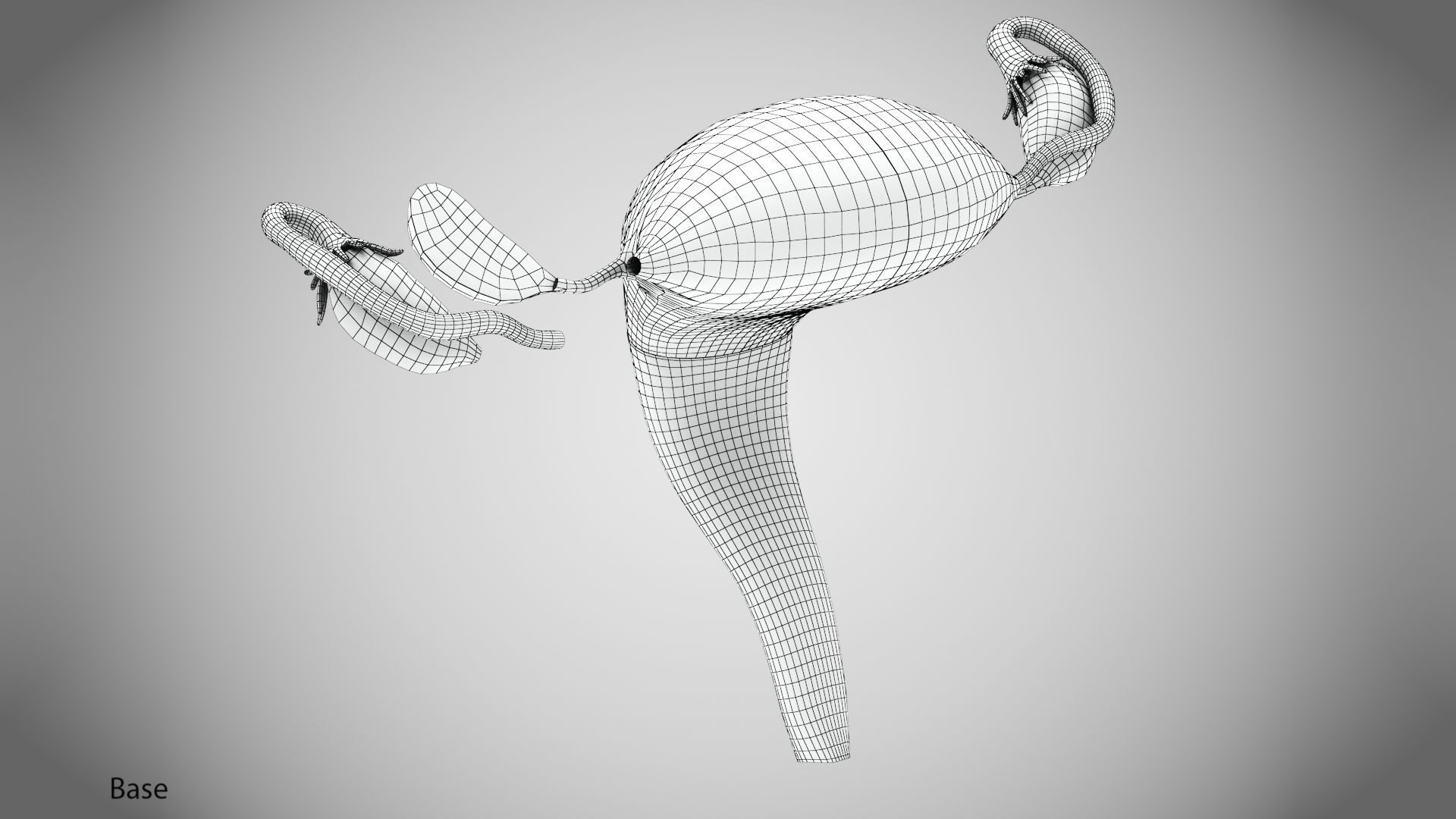 Uterus with Anatomic-Cut 3D model_25