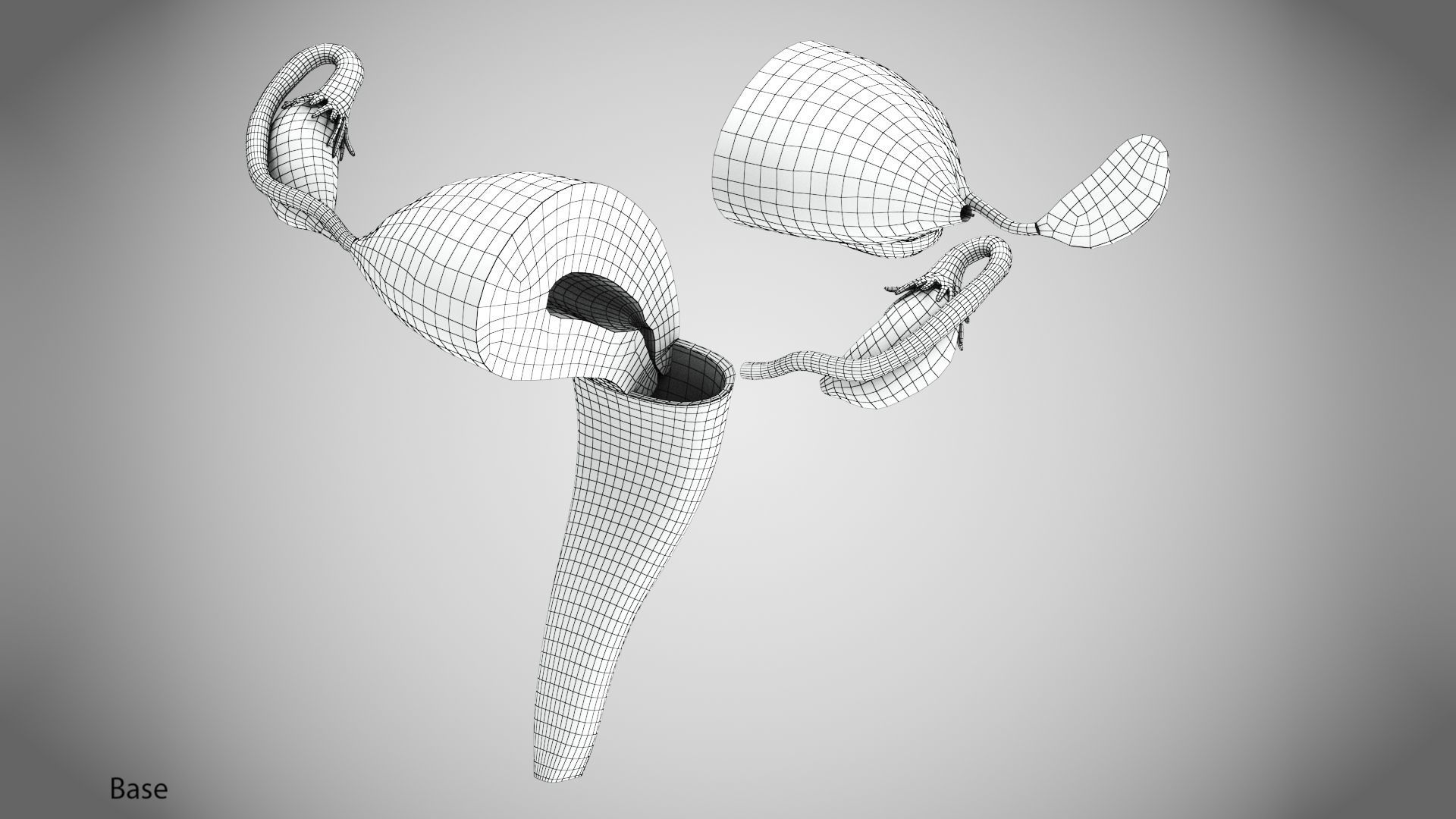 Uterus with Anatomic-Cut 3D model_21