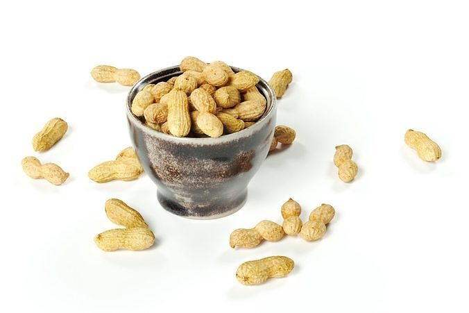 POLYPASTA - Peanuts 01 and 02 - in Mewa Cup Small 01 3D model