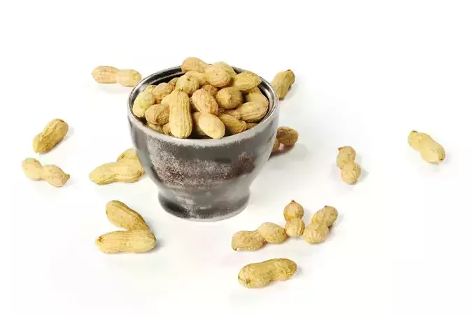 POLYPASTA - Peanuts 01 and 02 - in Mewa Cup Small 01 3D model