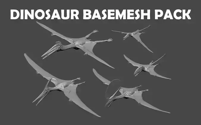Dinosaur Basemesh Pack 01