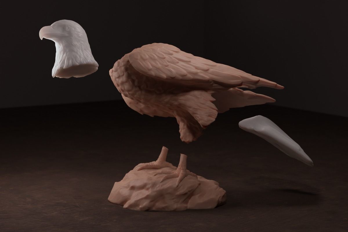 Bald Eagle Sculpture 3D print model_6