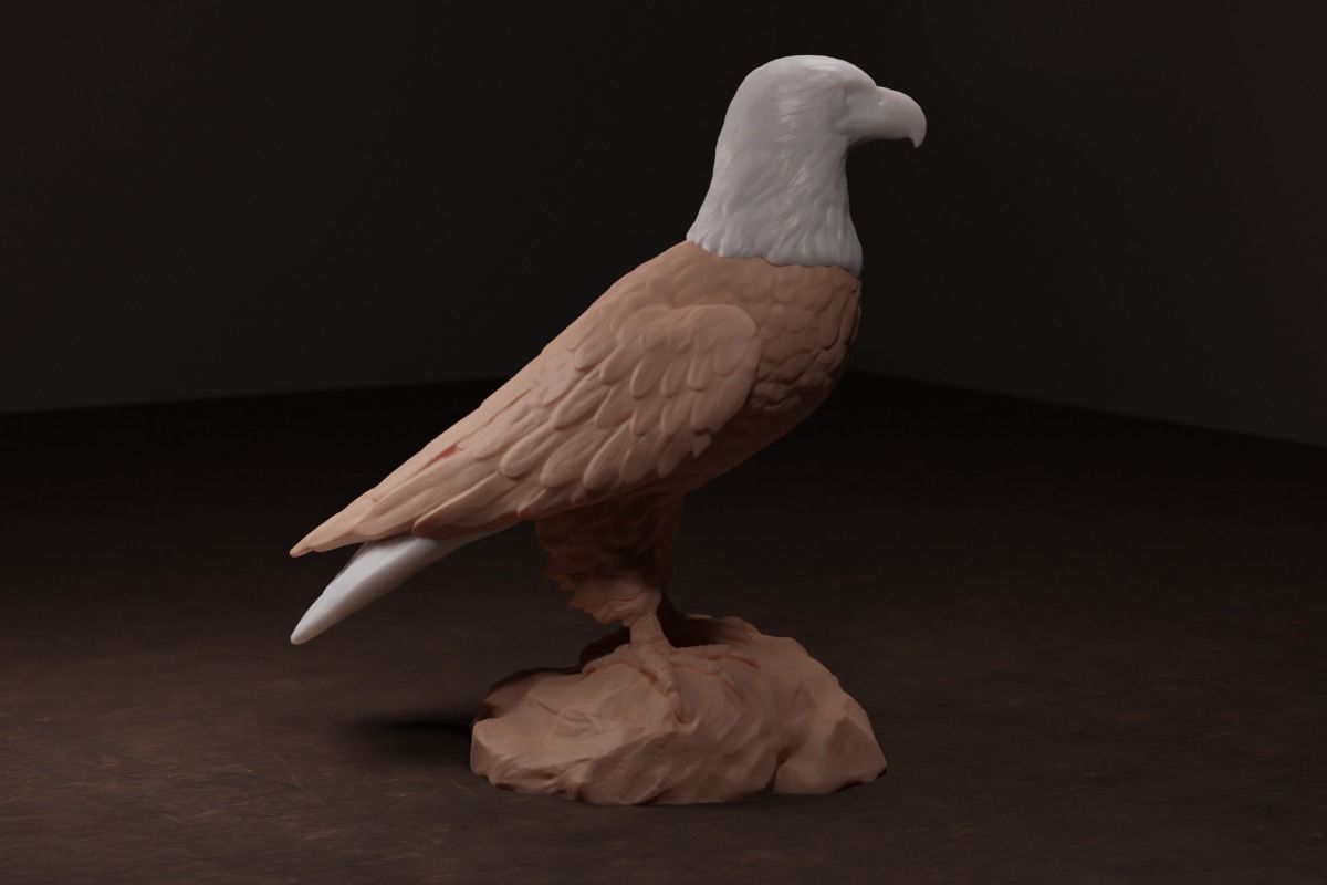 Bald Eagle Sculpture 3D print model_3