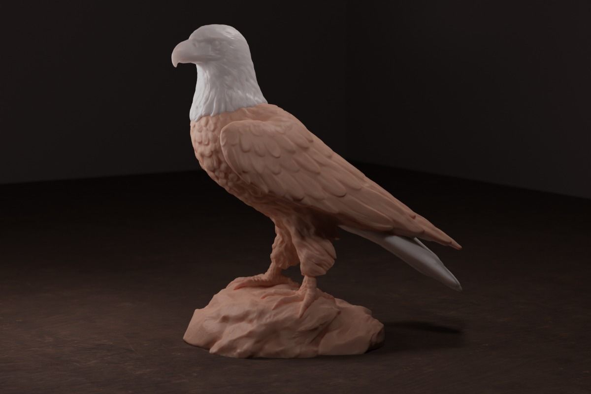 Bald Eagle Sculpture 3D print model_1