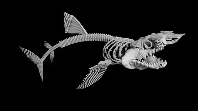 Shark Skeleton Low-poly 3D model