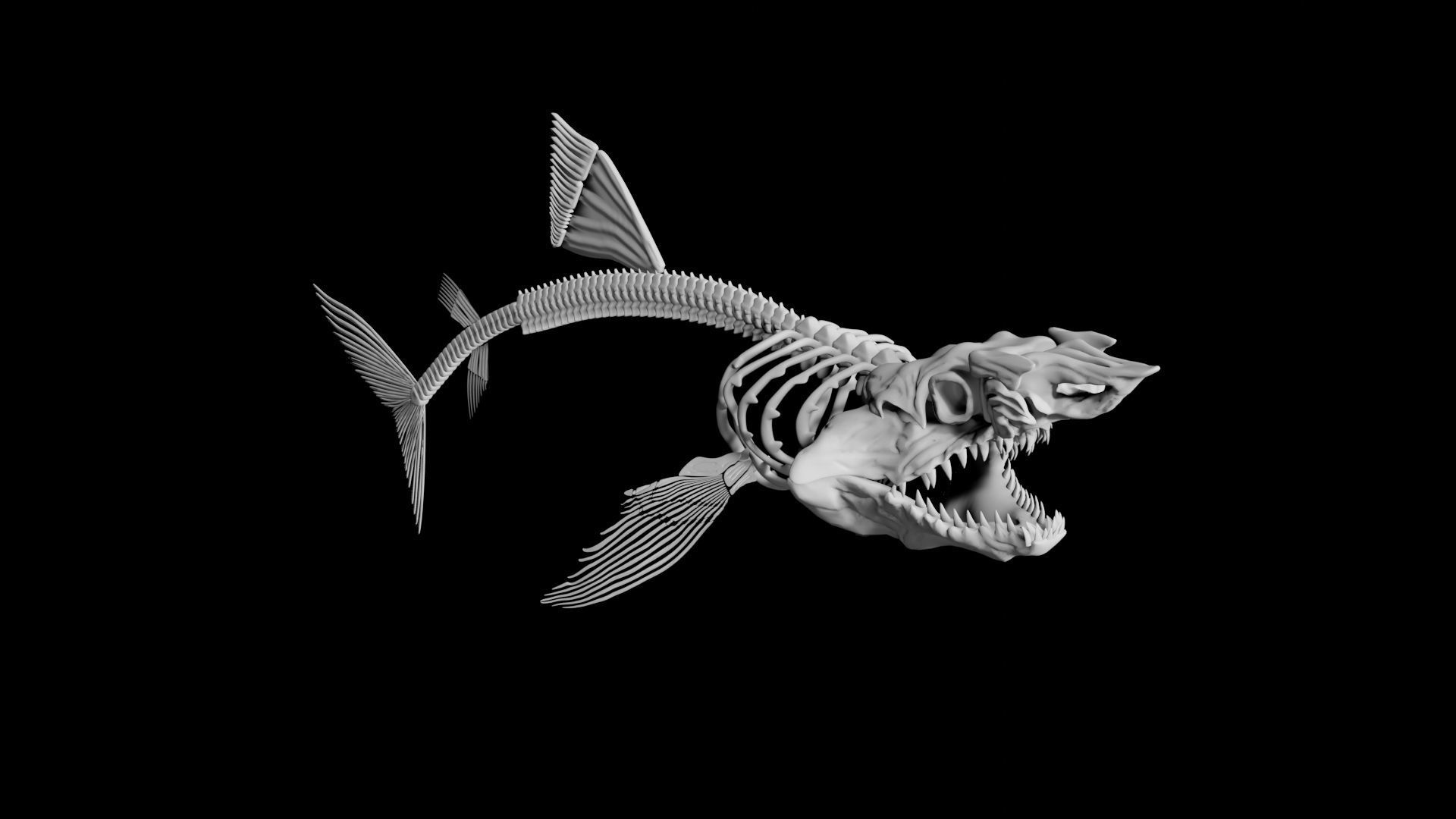 Shark Skeleton Low-poly 3D model_6