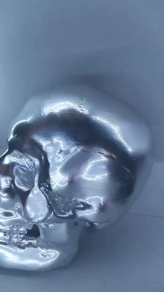 Skull silver 3D print model