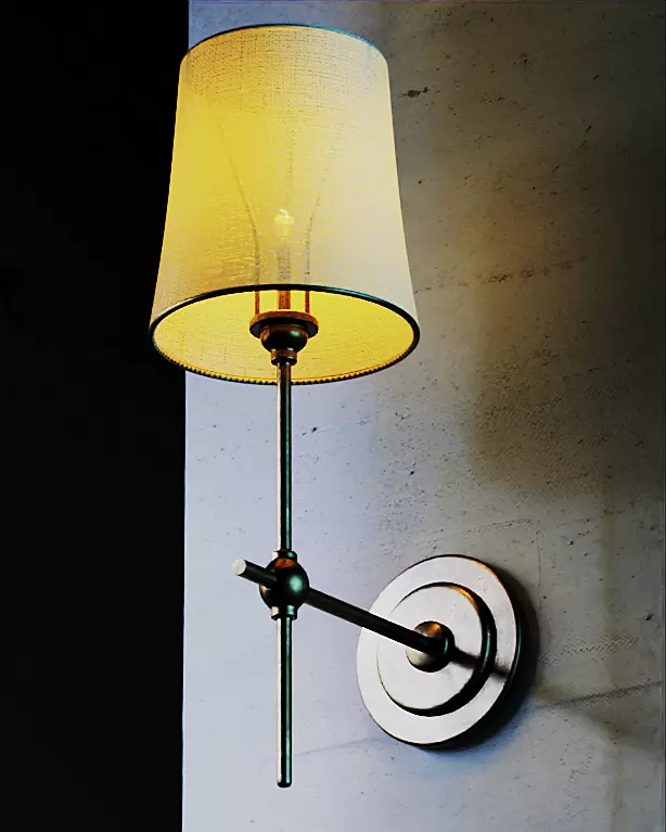 Wall Lampshade 3D model