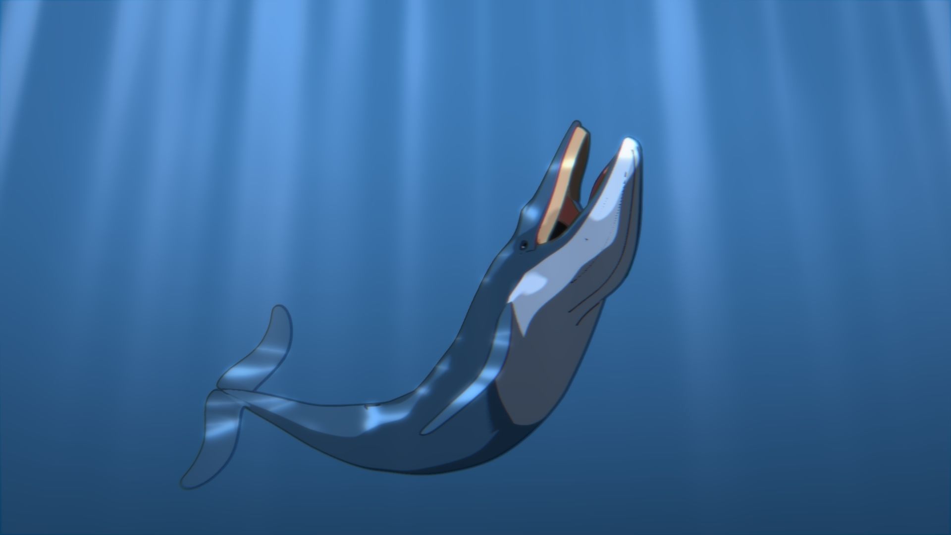 For Anime - Simple Blue Whale 3D model_17