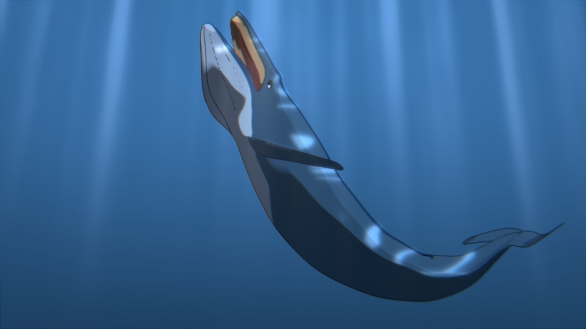 For Anime - Simple Blue Whale 3D model_11