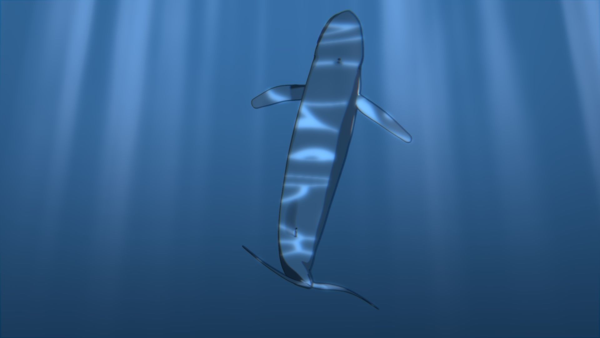 For Anime - Simple Blue Whale 3D model_14